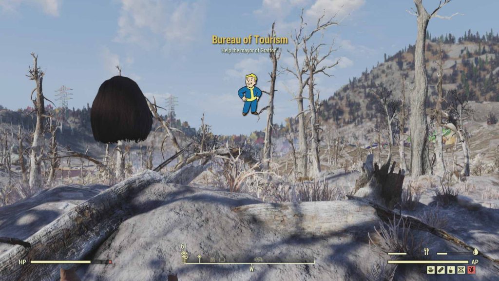 A glitched player character in Fallout 76 that appeared without any limbs or torso- just its head.