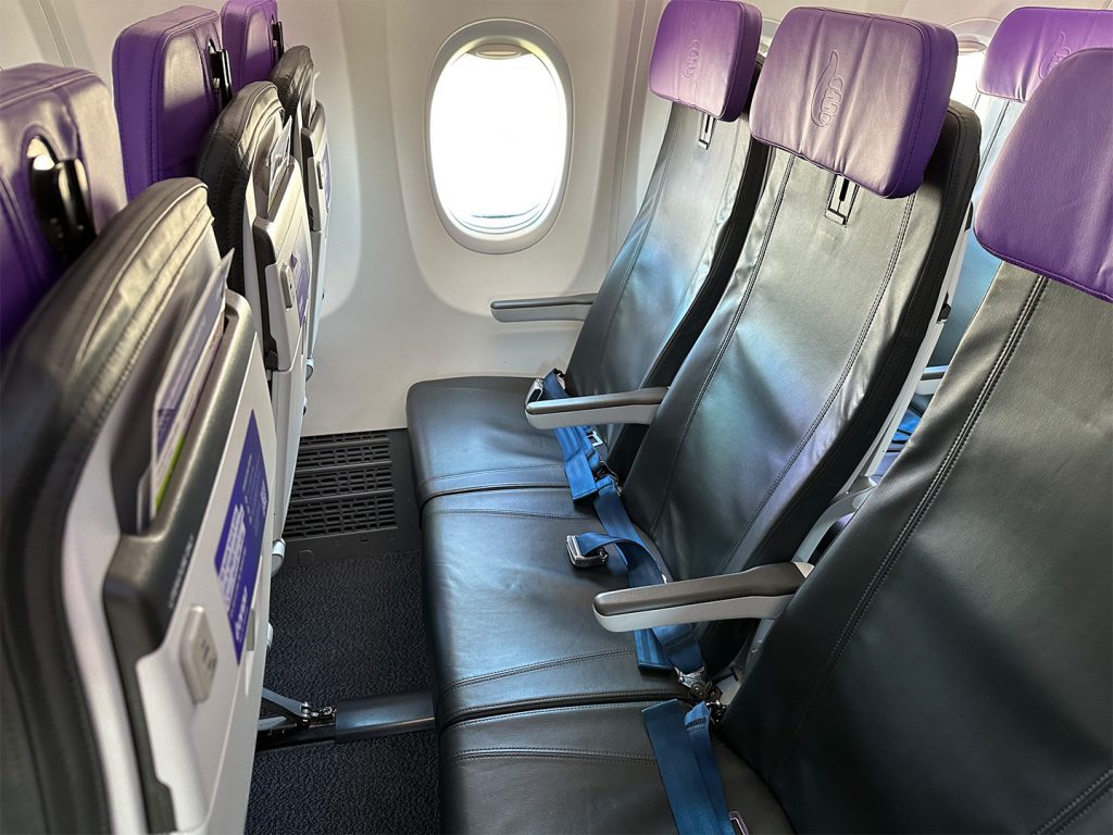 The standard Bonza economy class seats, showing the leather finish and purple adjustable headrests.